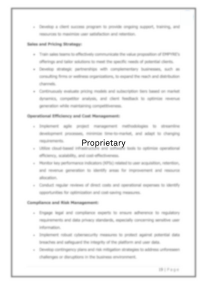 Investor-Ready Business Plan & Pitch Deck Package
